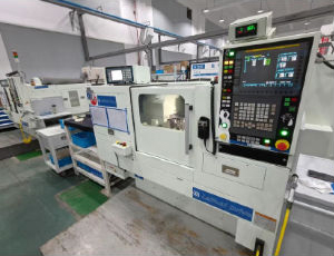 High Precision Grinding Machine (Brand: Shigiya 8 sets)
